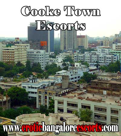 Cooke Town Escorts