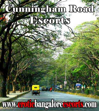 Cunningham Road Escorts